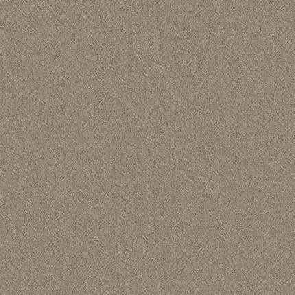 AERIAL VIEW - 5E041 - 00701 - Carpet