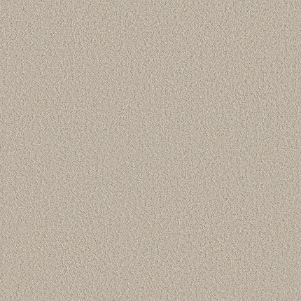 AERIAL VIEW - 5E041 - 00103 - Carpet