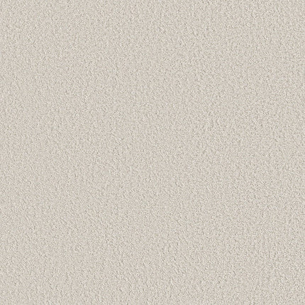 AERIAL VIEW - 5E041 - 00100 - Carpet