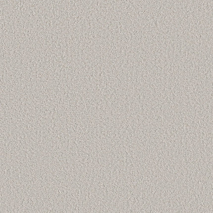 AERIAL VIEW - 5E041 - 00500 - Carpet