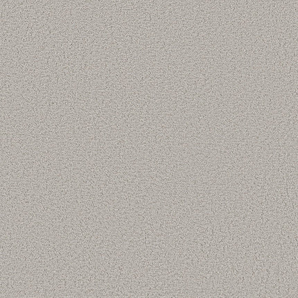 AERIAL VIEW - 5E041 - 00501 - Carpet