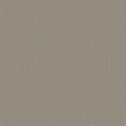 AERIAL VIEW - 5E041 - 00106 - Carpet