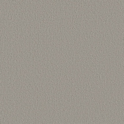 AERIAL VIEW - 5E041 - 00502 - Carpet