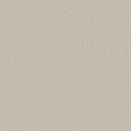 AERIAL VIEW - 5E041 - 00102 - Carpet