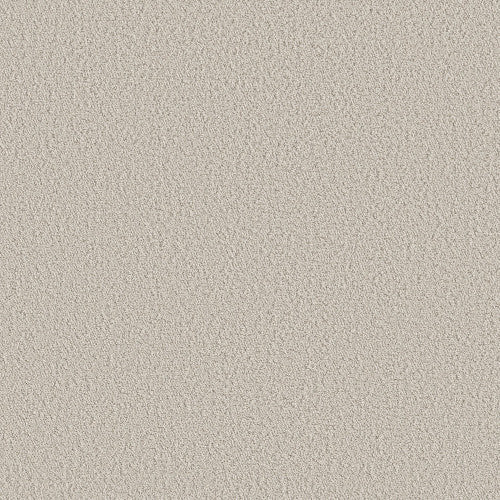 AERIAL VIEW - 5E041 - 00102 - Carpet