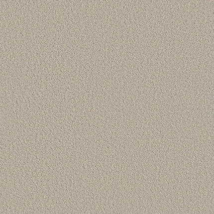 AERIAL VIEW - 5E041 - 00105 - Carpet