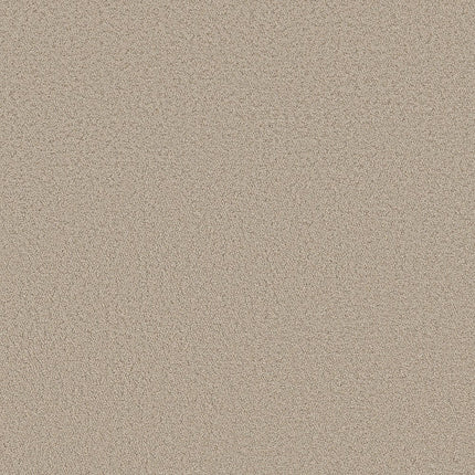 AERIAL VIEW - 5E041 - 00104 - Carpet