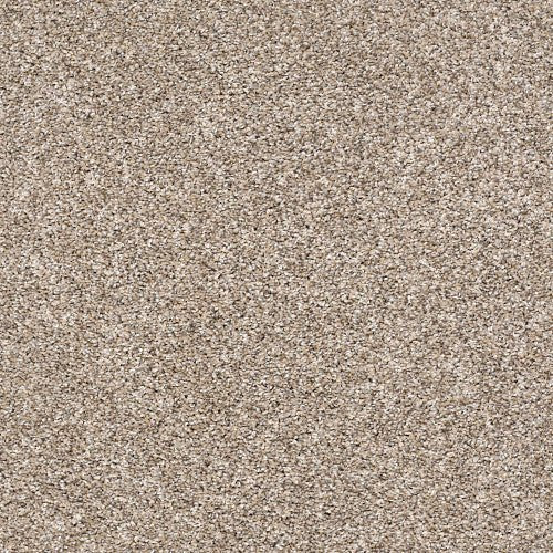 AFTER IT I - 5E257 - 00101 - Carpet