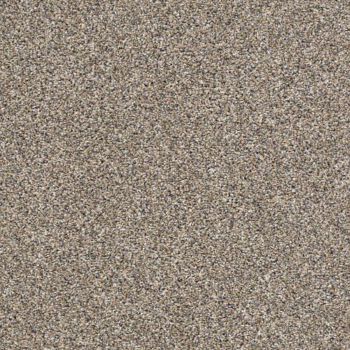 AFTER IT I - 5E257 - 00102 - Carpet