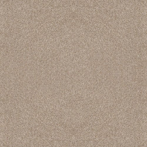 AFTER IT I - 5E257 - 00100 - Carpet