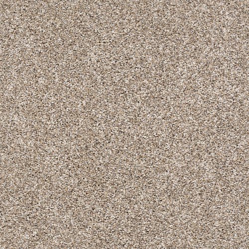 AFTER IT II - 5E258 - 00101 - Carpet