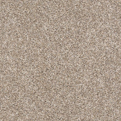 AFTER IT II - 5E258 - 00101 - Carpet