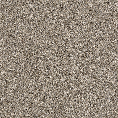 AFTER IT II - 5E258 - 00102 - Carpet