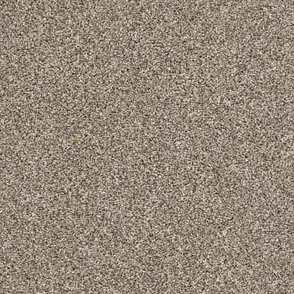 AFTER IT II - 5E258 - 00102 - Carpet