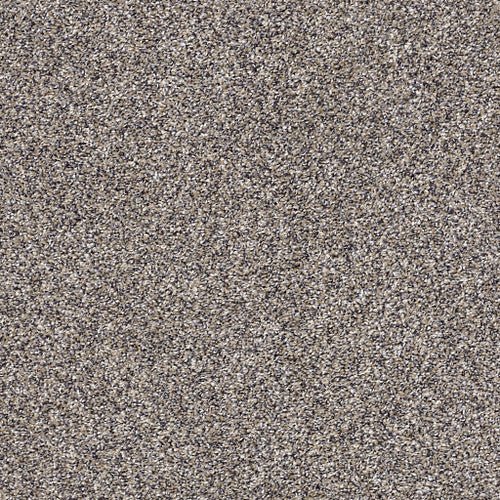 AFTER IT II - 5E258 - 00500 - Carpet