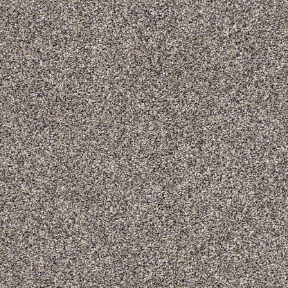 AFTER IT II - 5E258 - 00500 - Carpet