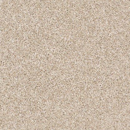 AFTER IT II - 5E258 - 00100 - Carpet