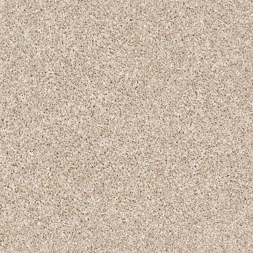 AFTER IT II - 5E258 - 00100 - Carpet