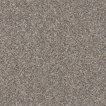 AFTER IT II - 5E258 - 00700 - Carpet