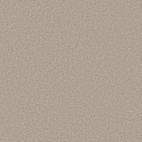 ALL ABOUT IT - 5E038 - 00110 - Carpet