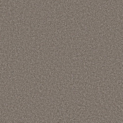 ALL ABOUT IT - 5E038 - 00700 - Carpet