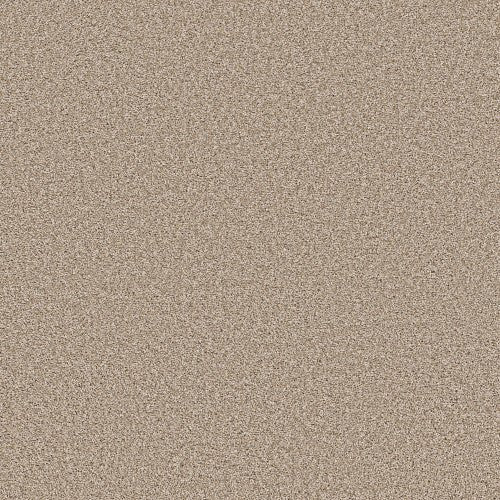 ALL ABOUT IT - 5E038 - 00100 - Carpet