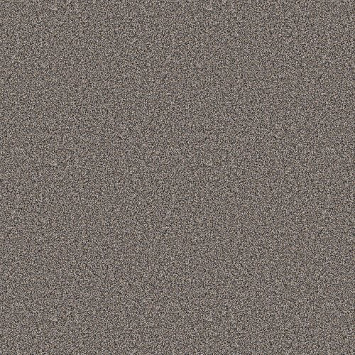 ALL ABOUT IT - 5E038 - 00500 - Carpet