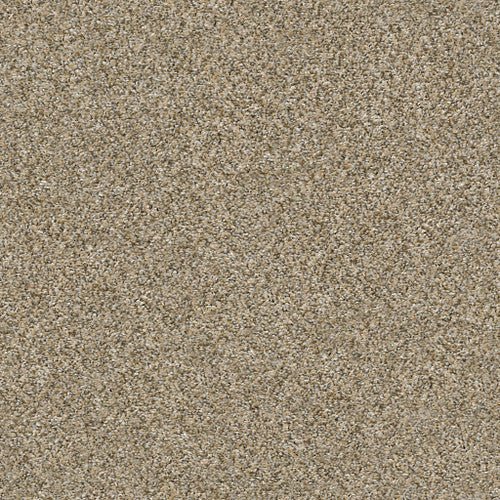 ALL ABOUT IT - 5E038 - 00101 - Carpet