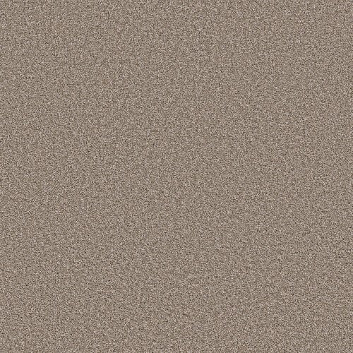 ALL ABOUT IT - 5E038 - 00710 - Carpet