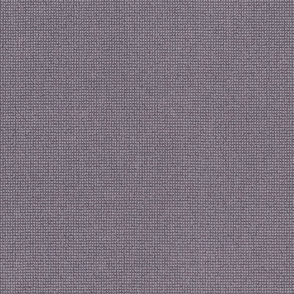 Alluring - ZZ316-00953-Carpet