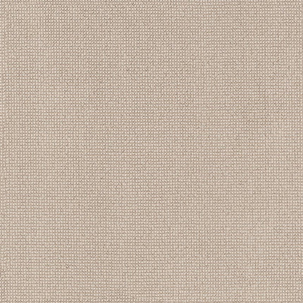 Alluring - ZZ316-00221-Carpet