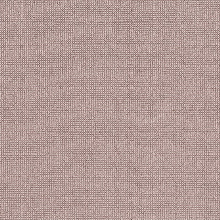 Alluring - ZZ316-00881-Carpet