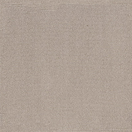 Alluring - ZZ316-00114-Carpet