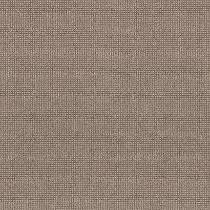Alluring - ZZ316-00782-Carpet