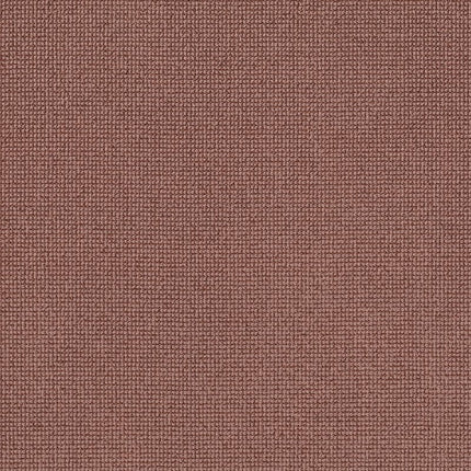 Alluring - ZZ316-00864-Carpet