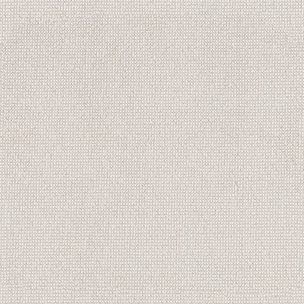 Alluring - ZZ316-00111-Carpet