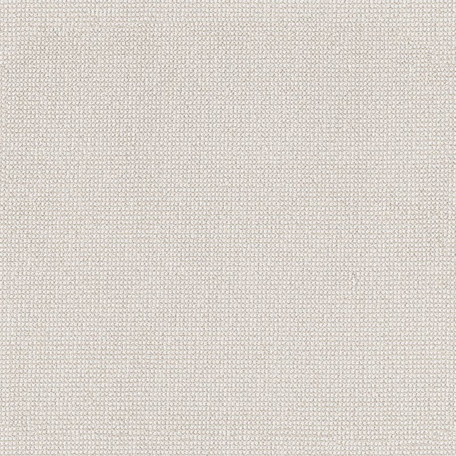 Alluring - ZZ316-00111-Carpet