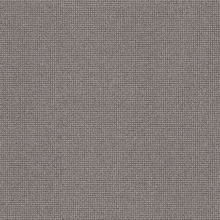 Alluring - ZZ316-00572-Carpet
