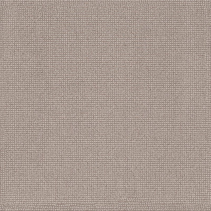 Alluring - ZZ316-00171-Carpet