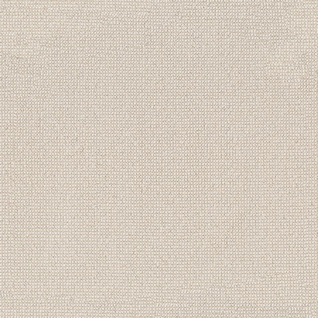 Alluring - ZZ316-00112-Carpet