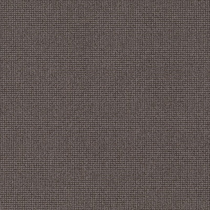 Alluring - ZZ316-00775-Carpet