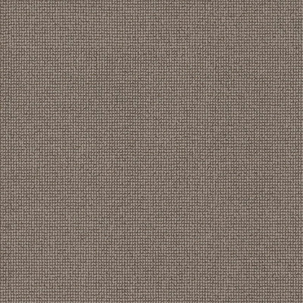 Alluring - ZZ316-00753-Carpet