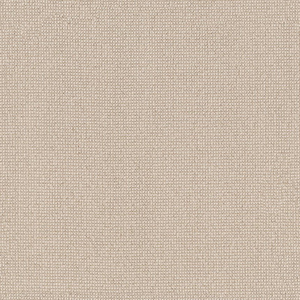 Alluring - ZZ316-00113-Carpet
