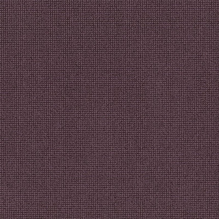 Alluring - ZZ316-00986-Carpet