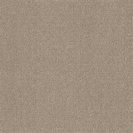 Alluring - ZZ316-00712-Carpet