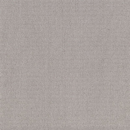 Alluring - ZZ316-00551-Carpet