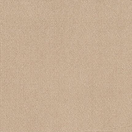 Alluring - ZZ316-00222-Carpet