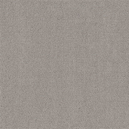 Alluring - ZZ316-00571-Carpet