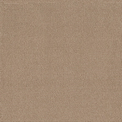Alluring - ZZ316-00223-Carpet