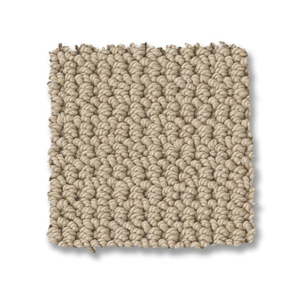 Arden Park - ZZ286_00272-Carpet